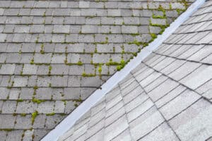 Different two parts of grey bitumen asphalt shingles roof one part overgrown with green moss other clean.